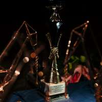 Obrazek z galerii nr 9 wydarzenia 'Sukces 5/6 na festiwalu \