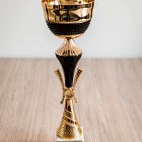 Obrazek z galerii nr 4 wydarzenia 'Sukces 5/6 na festiwalu \