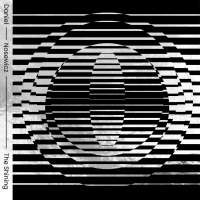 Obrazek z galerii nr 6 wydarzenia 'Nominacje w 28. edycji nagród FRYDERYK 2022 w kategoriach muzyki rozrywkowej i jazzowej'