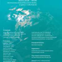 Plakat do wydarzenia zawierający skrócone dane ze strony internetowej