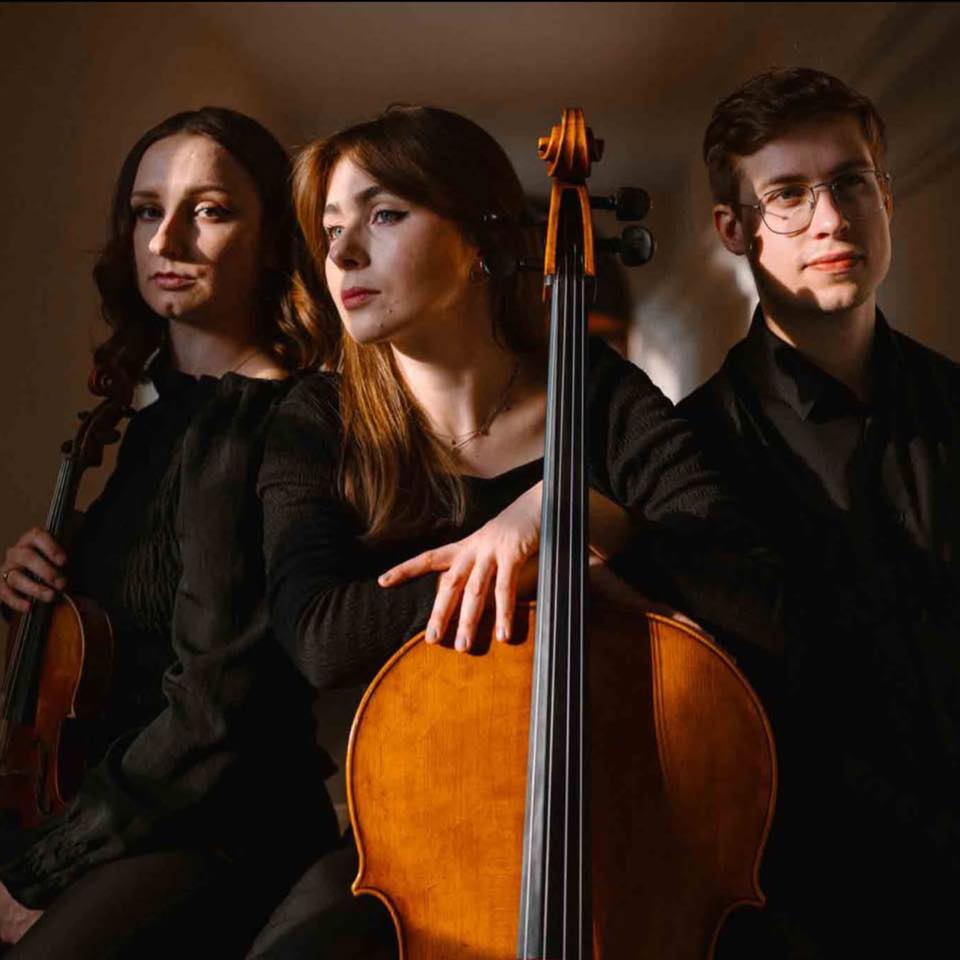 Fotografia zespołu Aaron Trio